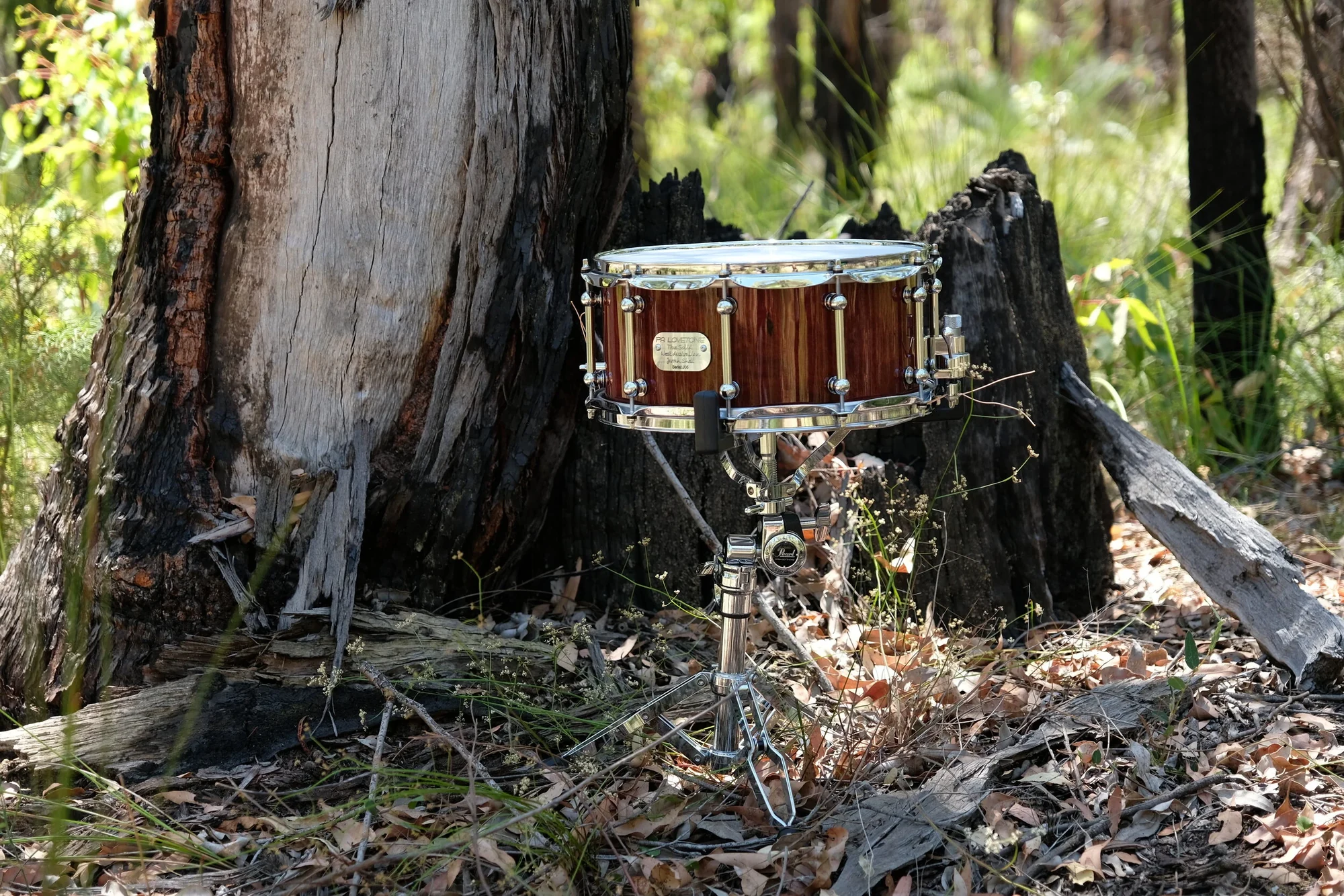 Jarrah 14″ × 6.5″ Gloss – view 2