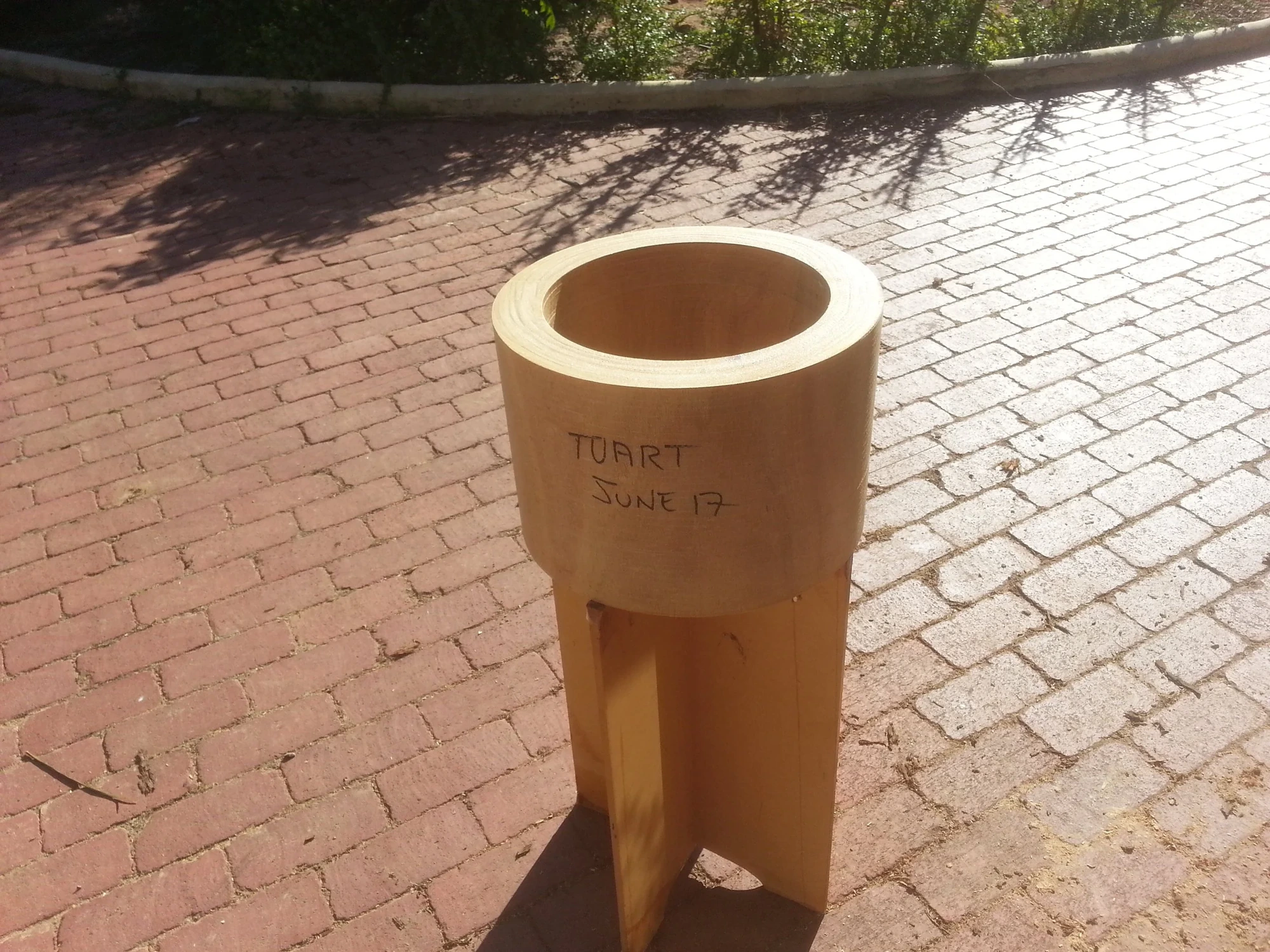 A one-piece Tuart shell blank, hollowed whole from its log
